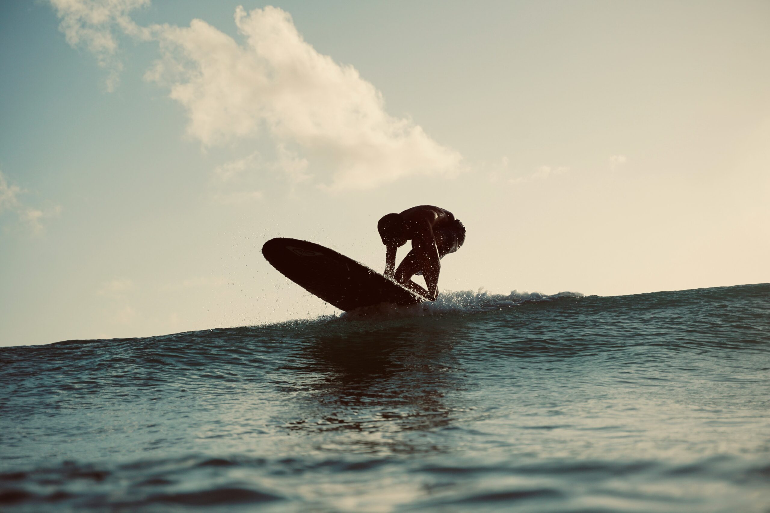 Title: Embarking on the Wave-Riding Journey: A Guide for New Surfers