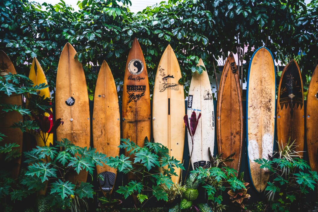 Cold Water Surfing - Complete Guide to Gear and Safety for Winter Sessions