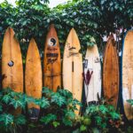 Cold Water Surfing - Complete Guide to Gear and Safety for Winter Sessions